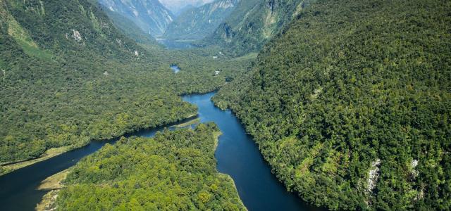 Aerial view on rivers at Milford Sound