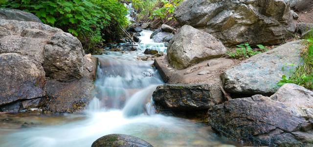 Stream along Waterfall Canyon Trail